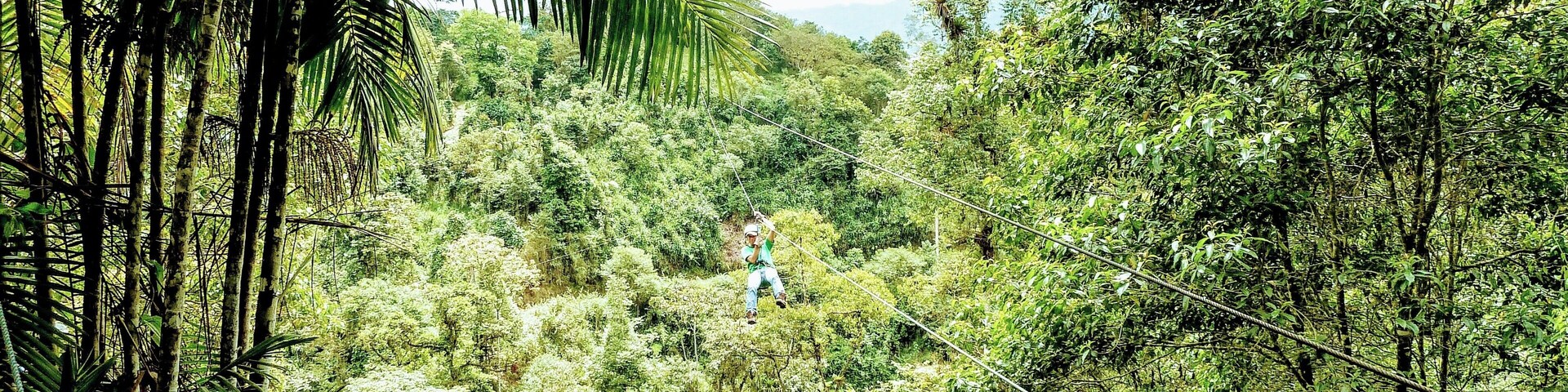 A person on a zip line through a dense forest with tall trees and lush greenery.