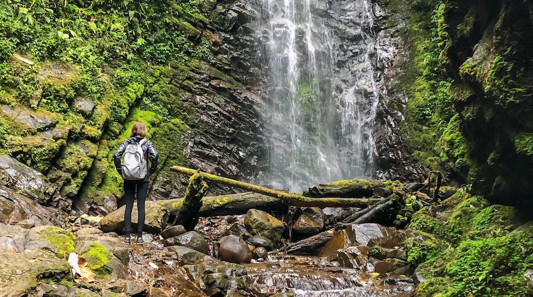 The Mindo Cloud forest is a short drive from bustling Quito, but it feels like an entirely different world. One of the most popular things to do in Mindo is to hike. The hike to the Cascadas took us around 21/2 hours and was well worth it for the incredible views. Along the hike, we saw countless butterflies, hummingbirds, orchids, and incredible waterfalls. #LifeAtExpediaGroup