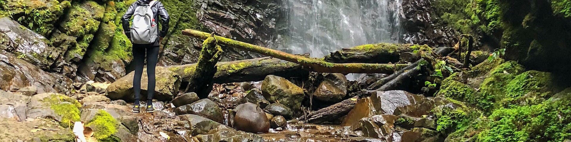 The Mindo Cloud forest is a short drive from bustling Quito, but it feels like an entirely different world. One of the most popular things to do in Mindo is to hike. The hike to the Cascadas took us around 21/2 hours and was well worth it for the incredible views. Along the hike, we saw countless butterflies, hummingbirds, orchids, and incredible waterfalls. #LifeAtExpediaGroup