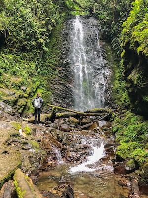 The Mindo Cloud forest is a short drive from bustling Quito, but it feels like an entirely different world. One of the most popular things to do in Mindo is to hike. The hike to the Cascadas took us around 21/2 hours and was well worth it for the incredible views. Along the hike, we saw countless butterflies, hummingbirds, orchids, and incredible waterfalls. #LifeAtExpediaGroup