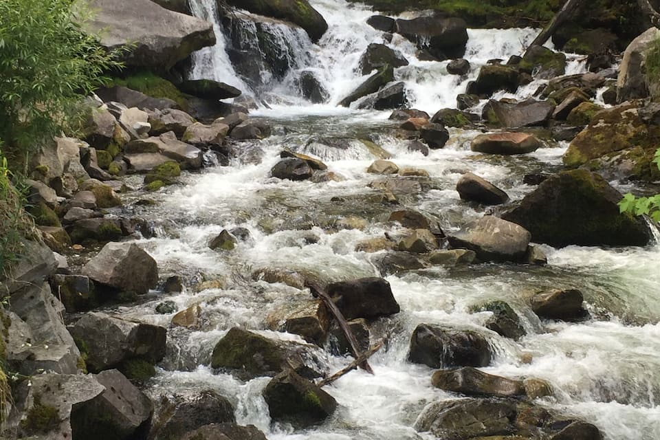 A rocky stream with a waterfall and lush greenery.