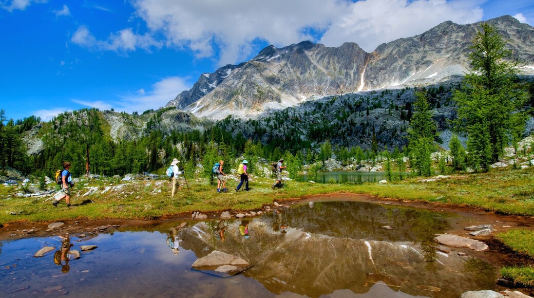 Nelson showing a lake or waterhole, forests and hiking or walking