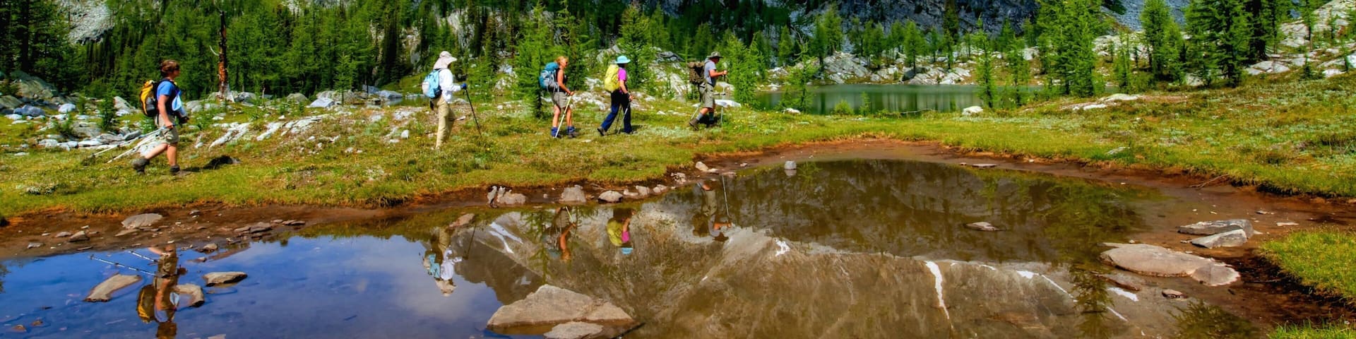 Nelson which includes mountains, hiking or walking and forests