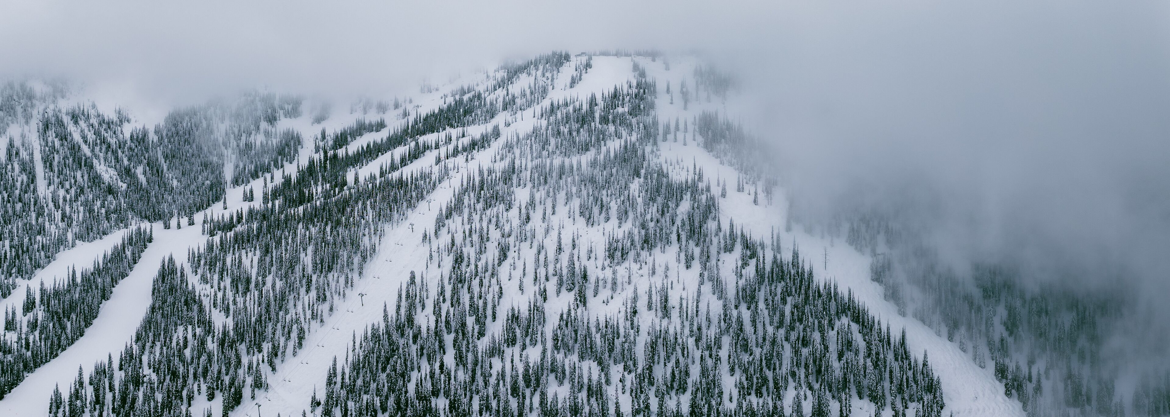 Montaña nevada con densos bosques y pistas de esquí.