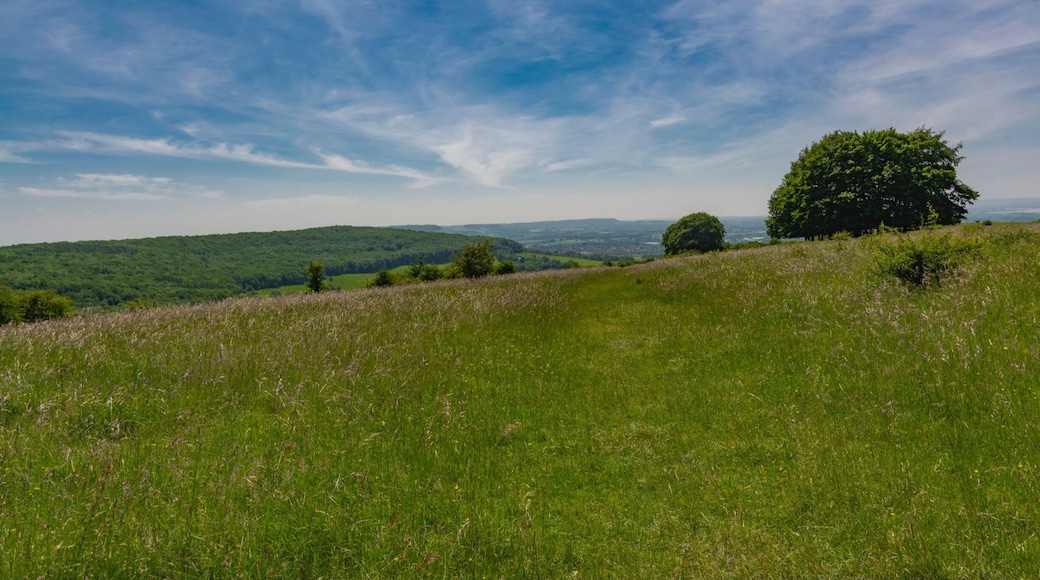 Idyllic and quiet location in Gloucestershire cotswolds