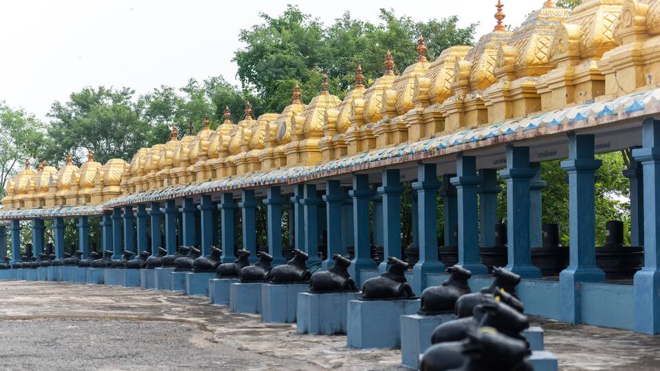 A row of golden temple roofs with blue pillars.