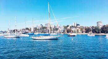 #Australia #Sydney #NeutralBay #wharf