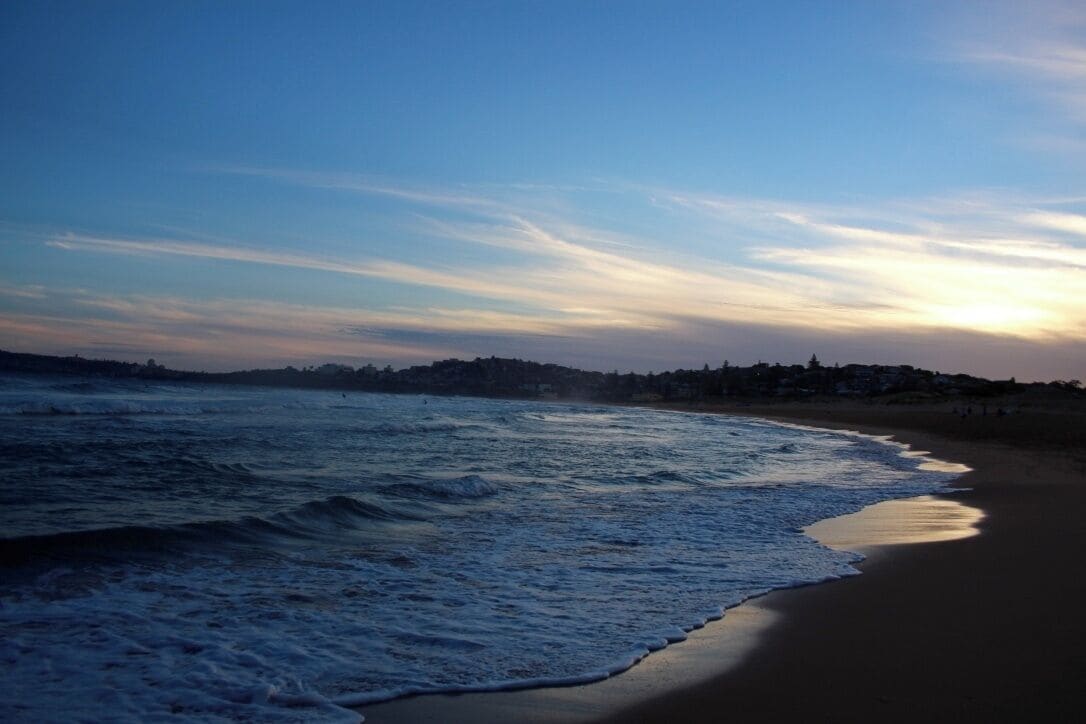 favourite beach for a reason. the northern beaches are often missed when people visit sydney. this is a must do!