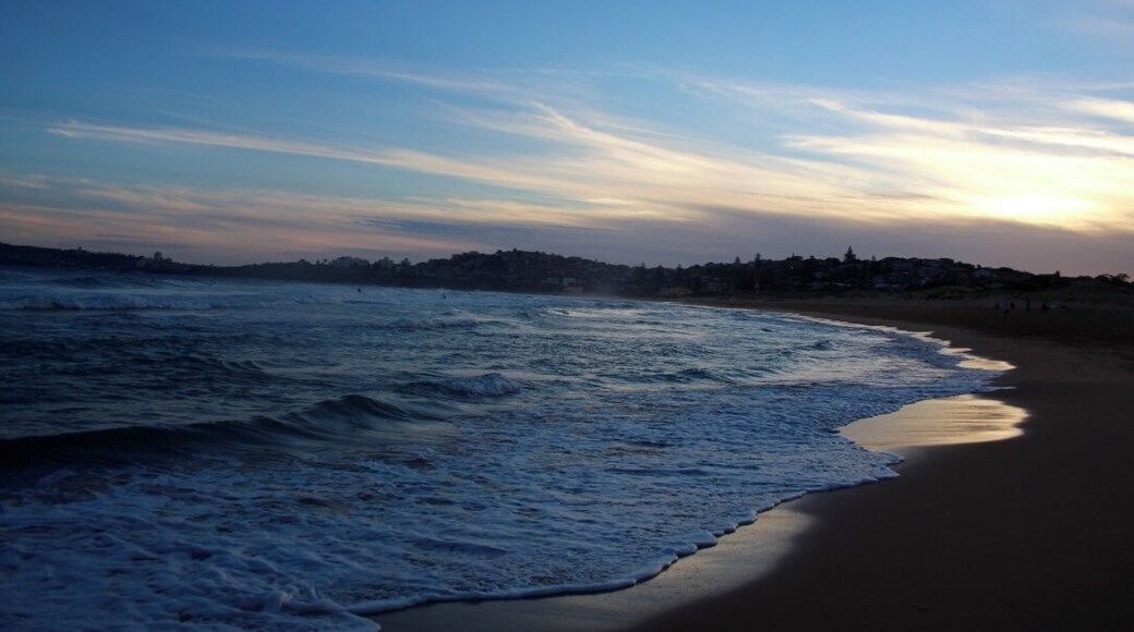 favourite beach for a reason. the northern beaches are often missed when people visit sydney. this is a must do!