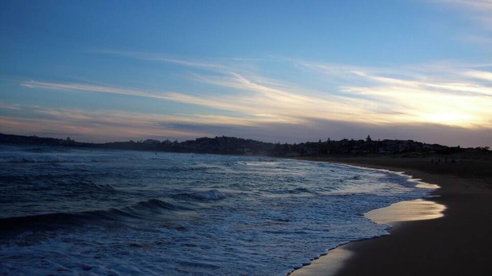 favourite beach for a reason. the northern beaches are often missed when people visit sydney. this is a must do!
