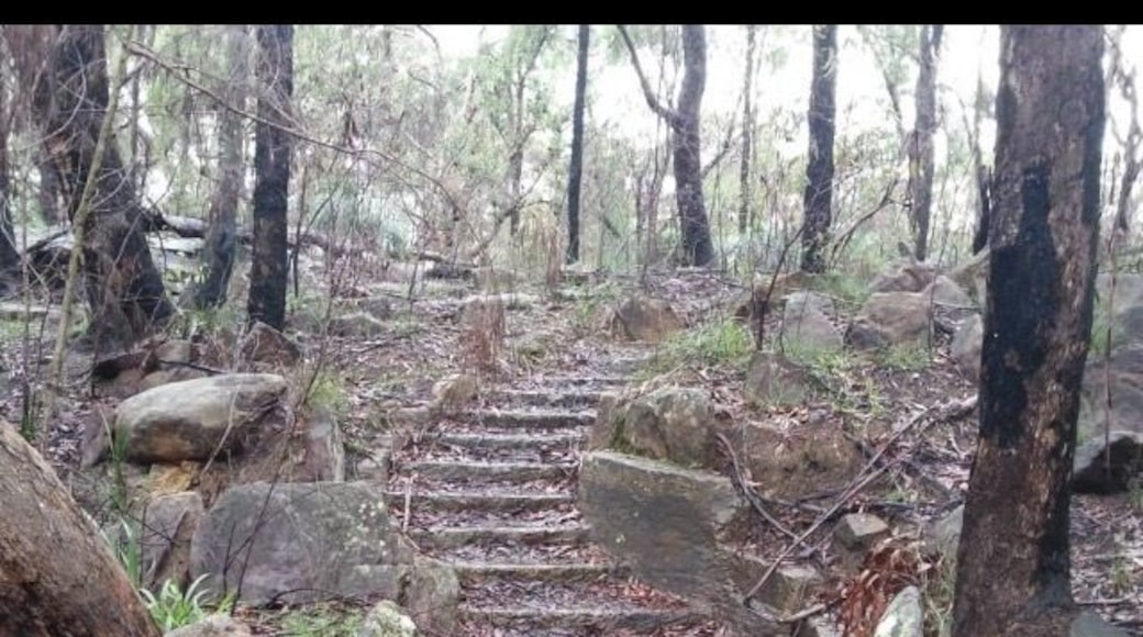 Ever in Sydney, Australia .... Lane Cove Nationalpark is defenetly worth it....