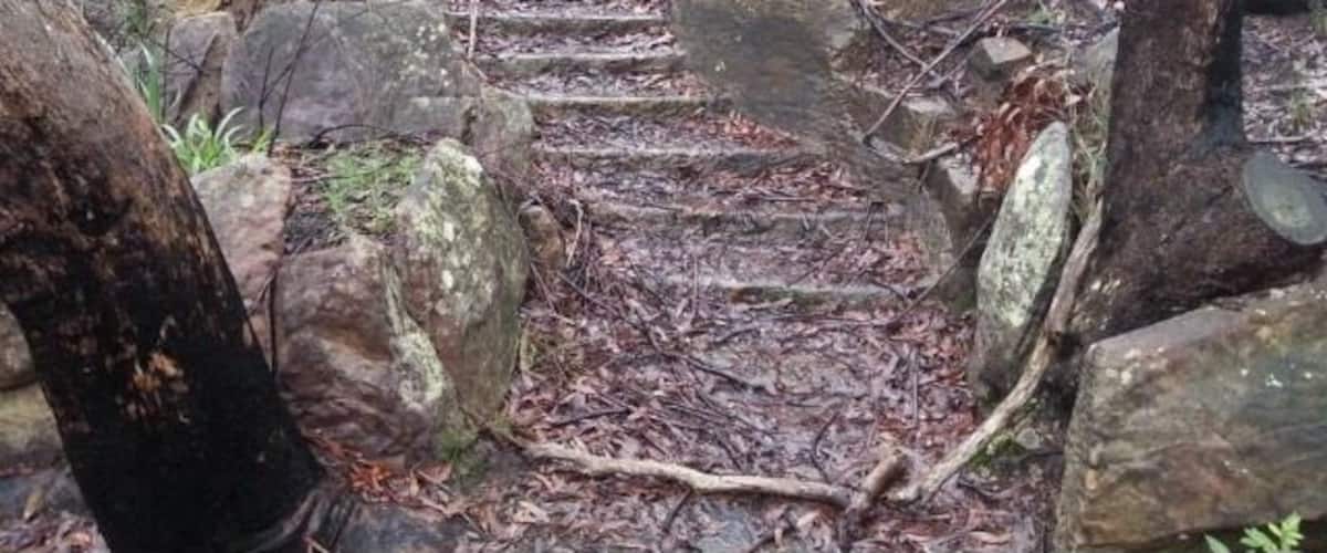 Ever in Sydney, Australia .... Lane Cove Nationalpark is defenetly worth it....