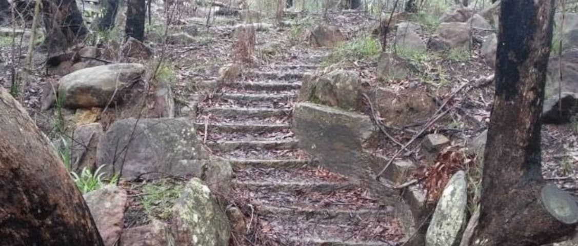 Ever in Sydney, Australia .... Lane Cove Nationalpark is defenetly worth it....