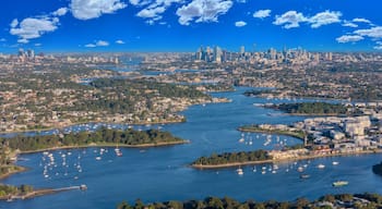 Panorama Aerial view above Rhodes with views to Meadowbank and Olympic park and Wentworth Point and Concord West with Parramatta River in Sydney NSW Australia