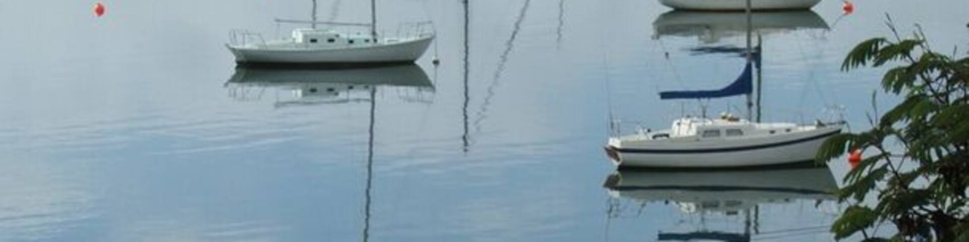 Still day in the Tamar Valley - it was late afternoon when I got this shot