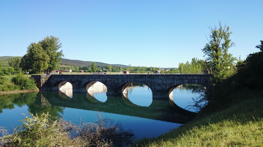 Puente de Mercadillo (Cistierna) - Río Esla.