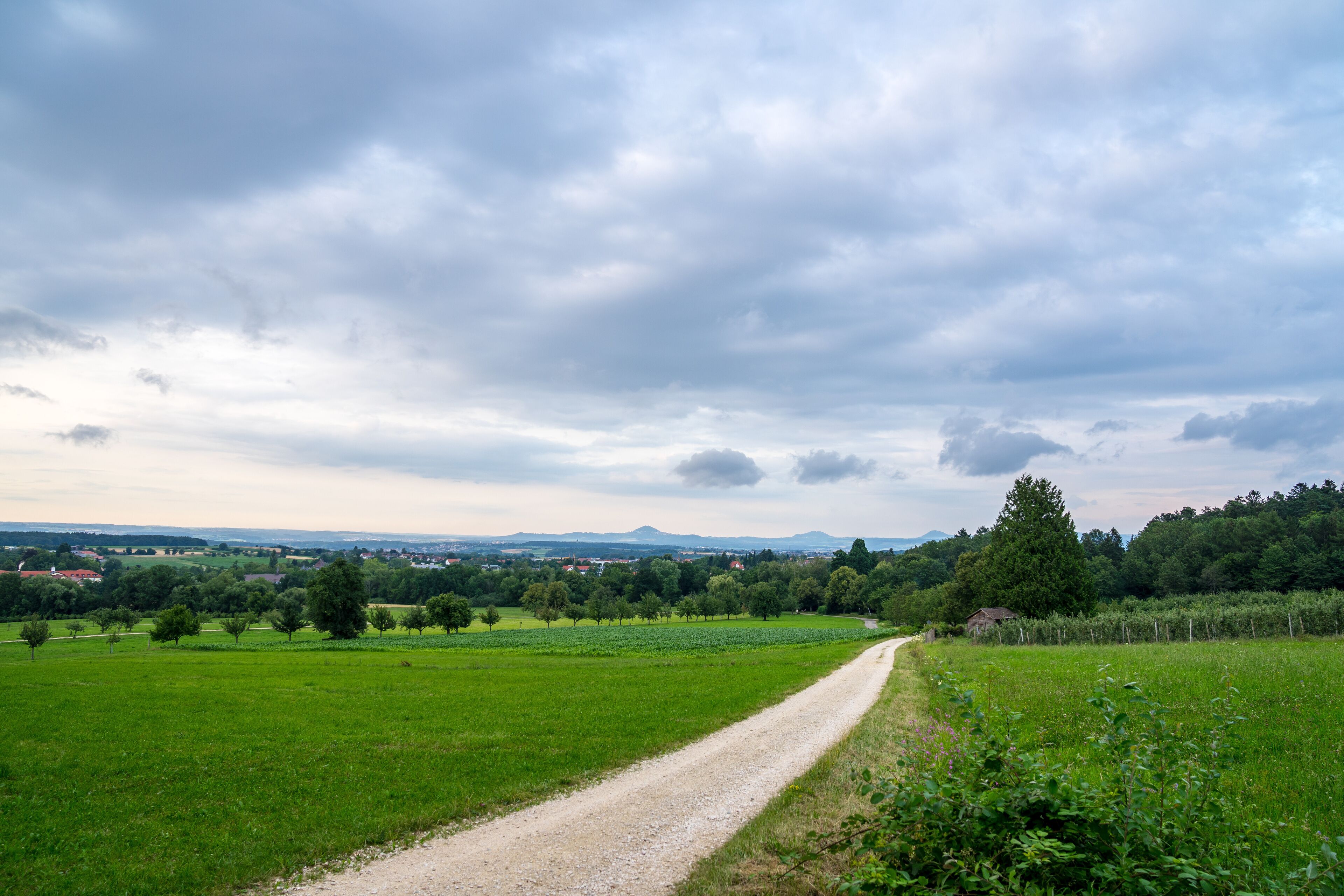 Germany, Beautiful hike trail alongside green meadow and trees of rural swabian jura nature landscape in bad boll in the evening in summer