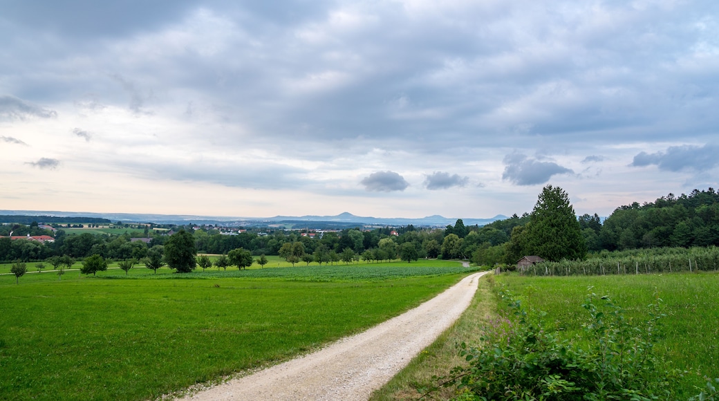 Germany, Beautiful hike trail alongside green meadow and trees of rural swabian jura nature landscape in bad boll in the evening in summer
