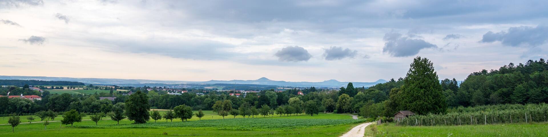 A rural landscape with a gravel road, green fields, trees, and distant houses.