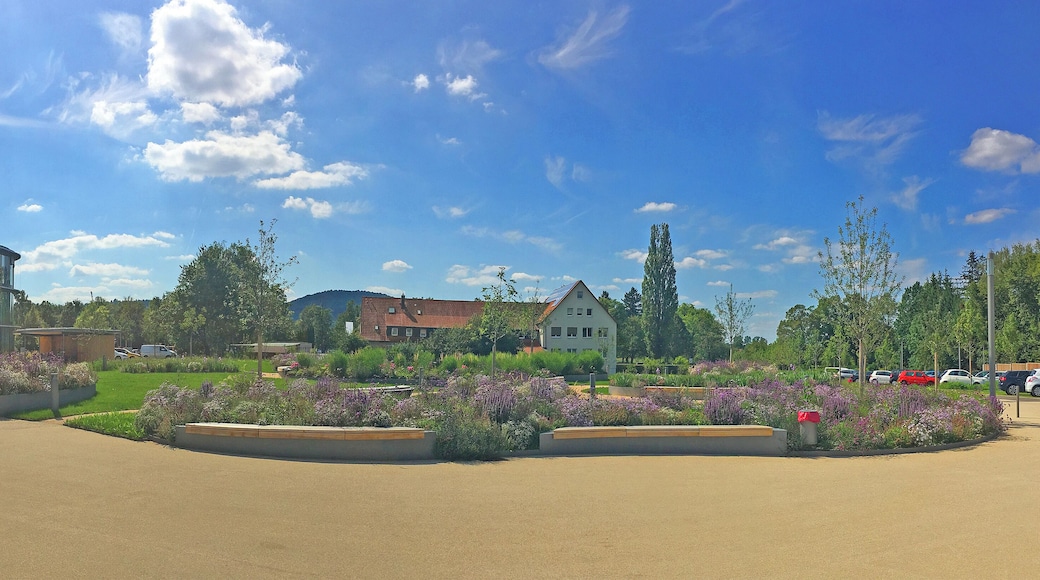 Bad Boll, Wala. Anthroposophic medicine.