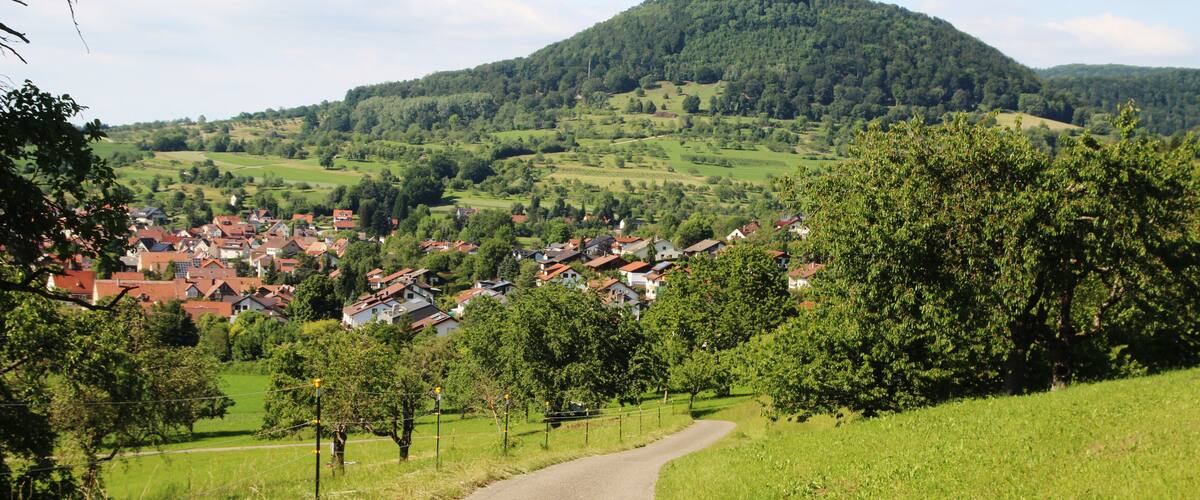 A rural landscape with a winding road, a village with red-roofed houses, and a hill covered in greenery.
