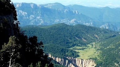 A mountainous landscape with dense forests and a valley.