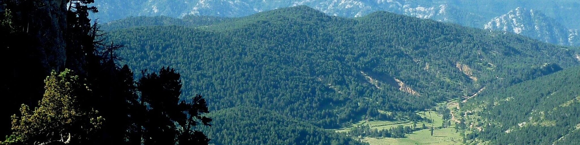 Des del Coll de Pradell: Altiplà de Pratformiu a la Coma i la Pedra (Solsonès - Catalunya)