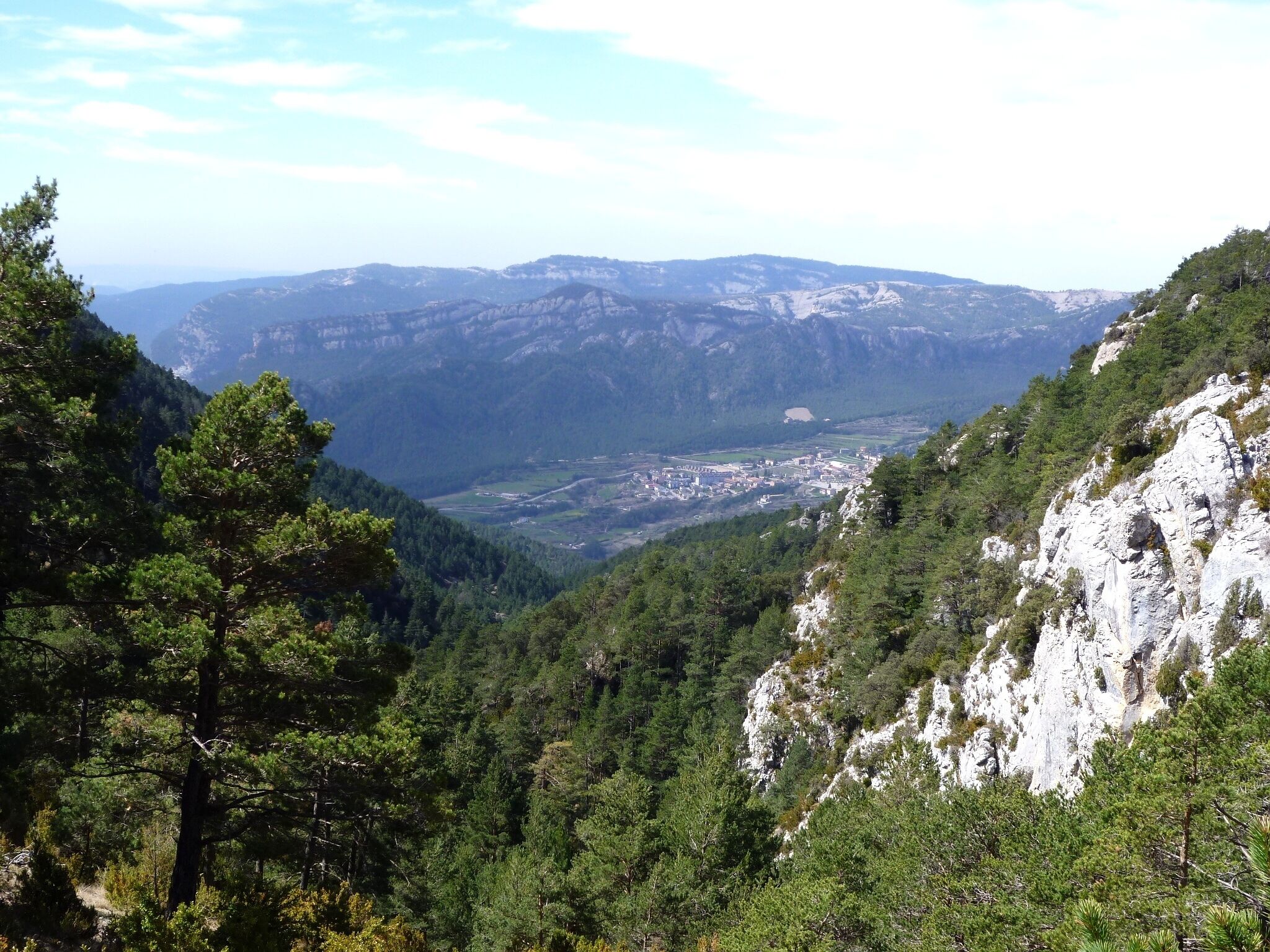 A mountainous landscape with dense forests and a valley with buildings.