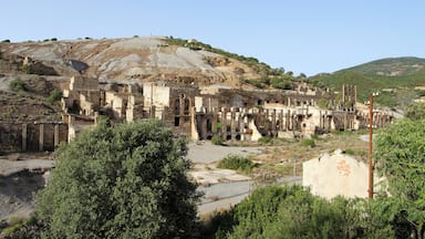 Naracauli: laveria Brassei