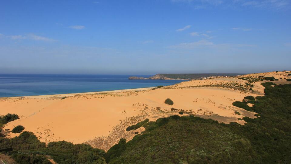 A desert landscape with sand dunes, sparse vegetation, and a distant coastline under a clear sky.