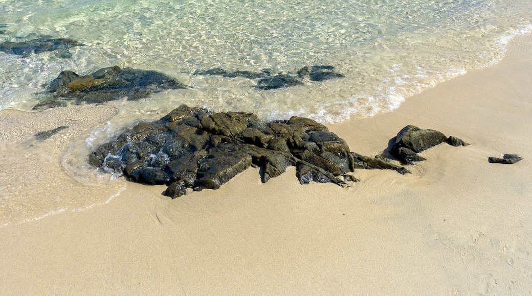 Scoglio di Peppino beach, Costa Rei, Muravera, Castiadas. Sardinia. Beach with white sand and crystal clear waters and the famous rock