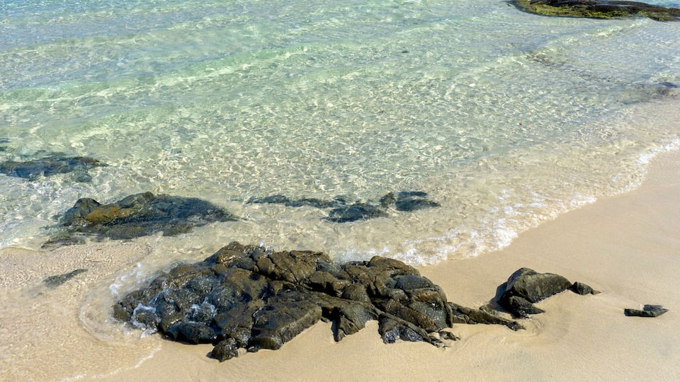 Scoglio di Peppino beach, Costa Rei, Muravera, Castiadas. Sardinia. Beach with white sand and crystal clear waters and the famous rock