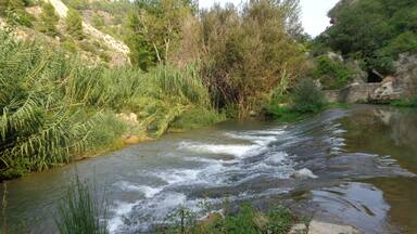A flowing river with surrounding greenery and rocky terrain.