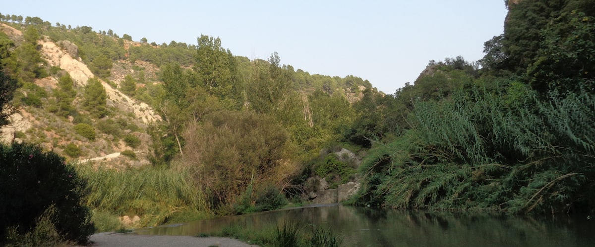 A river flowing through a valley with rocky cliffs and dense greenery.
