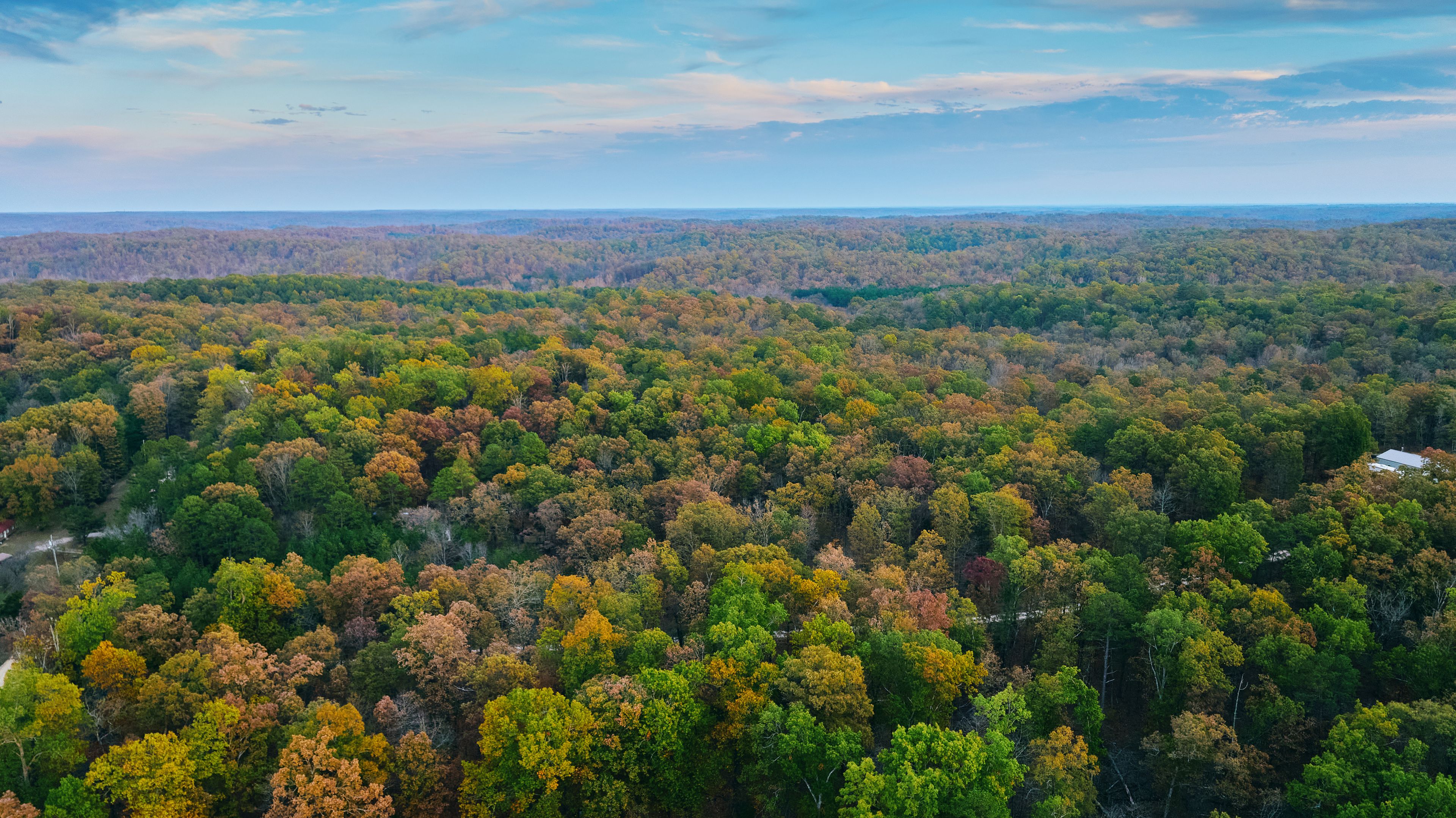 Drone photo of Ozark forest in fall.