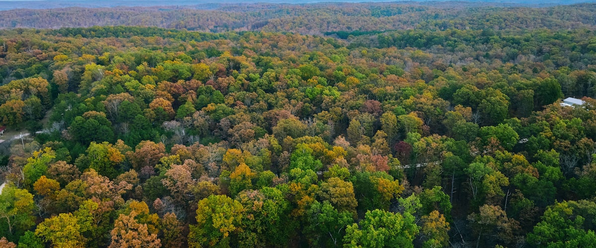 Drone photo of Ozark forest in fall.