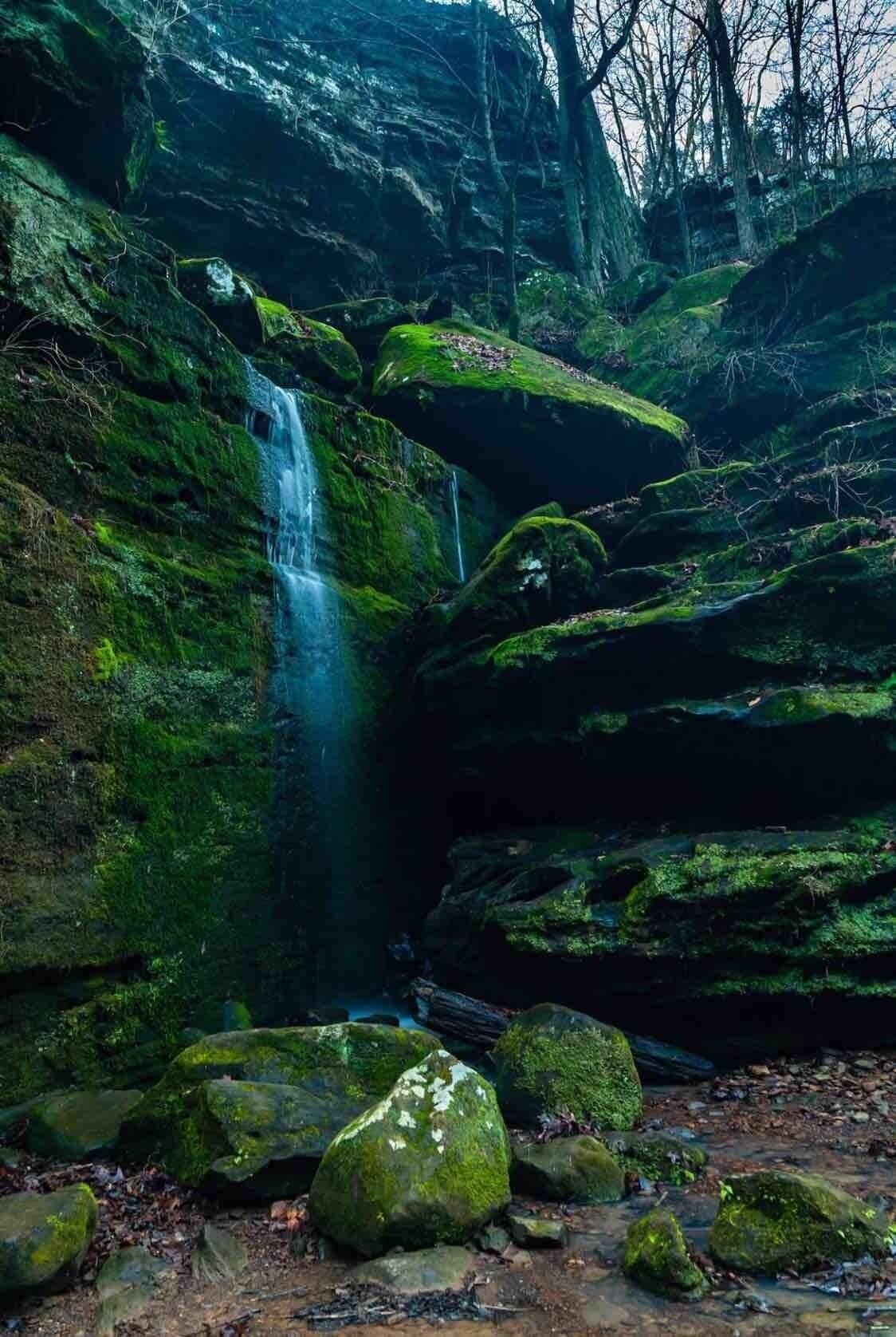 Another from Ferne Clyffe state park.