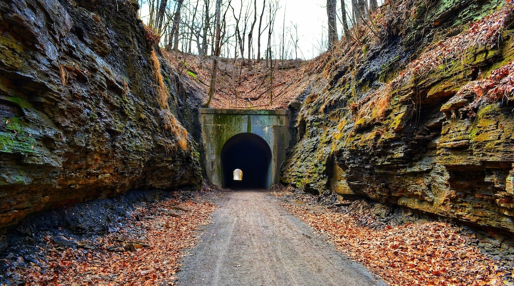 This thing is magnificent. Great place for creepy themed photo shoot.