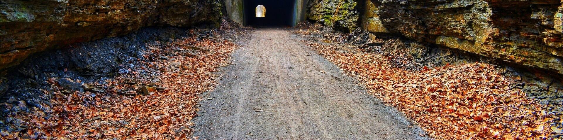 This thing is magnificent. Great place for creepy themed photo shoot.