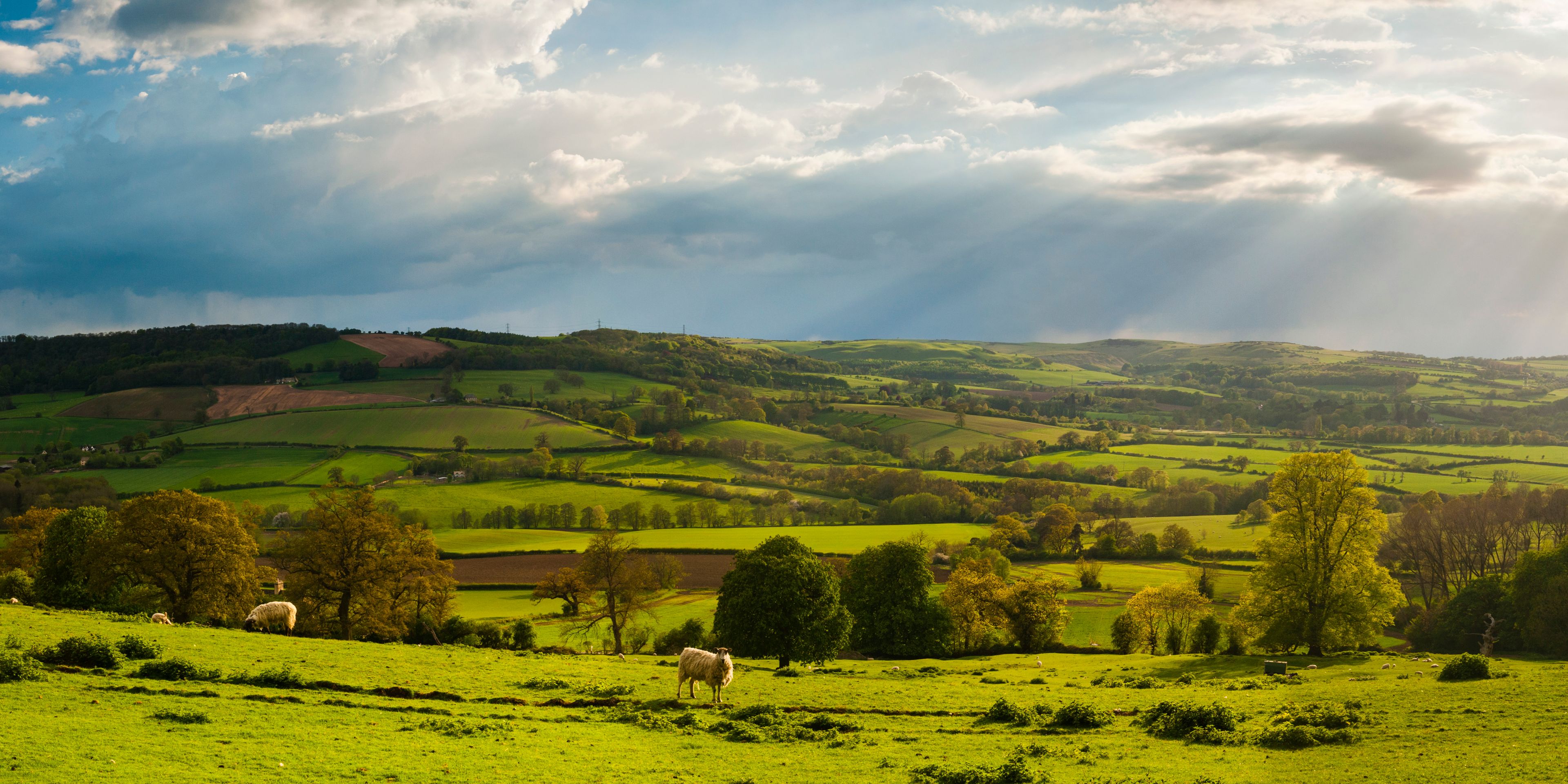 Autumn colours at sunset, Winchcombe and the Sudely Valley, The Cotswolds, Gloucestershire, England, United Kingdom, Europe