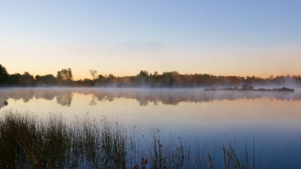 A calm lake at sunrise with mist over the water and trees in the background.