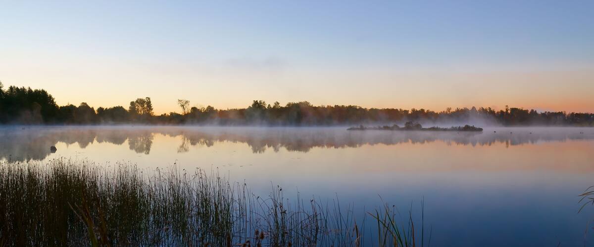A calm lake at sunrise with mist over the water and trees in the background.