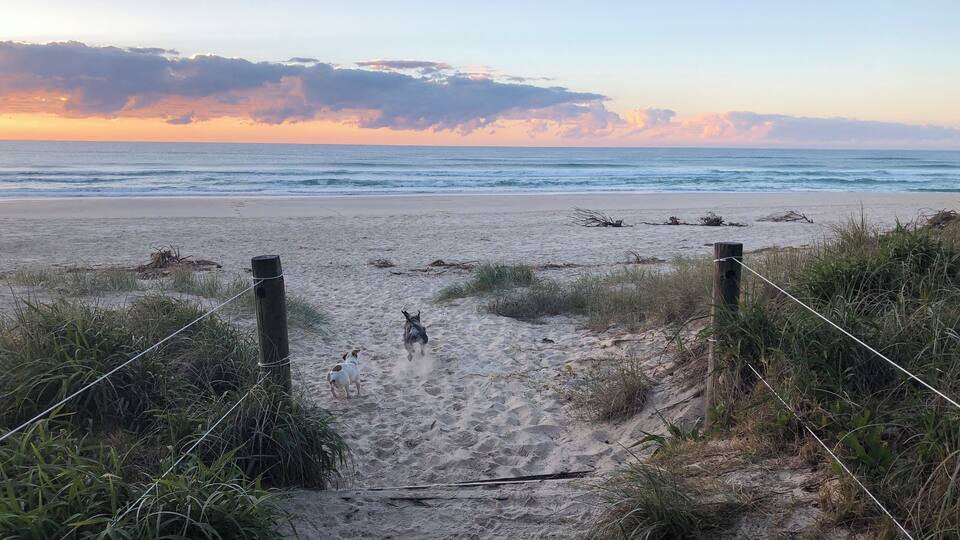 Our local hood .... early morning walks with a very eager schnauzer