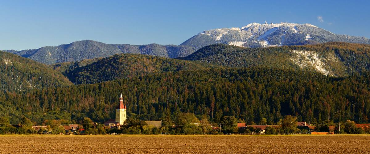A church surrounded by a forest and snow-capped mountains.