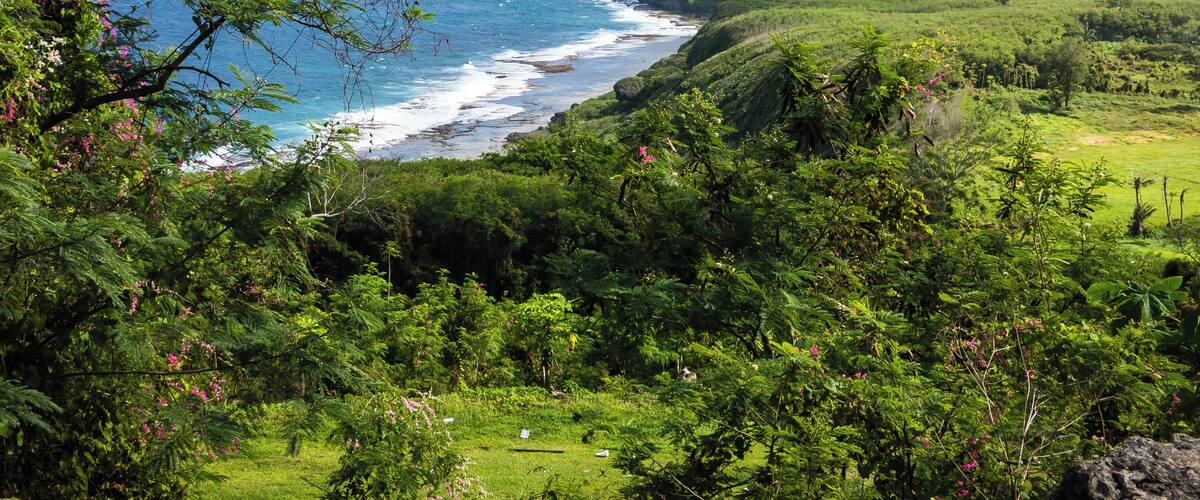 A coastal landscape with cliffs, greenery, and a view of the ocean.