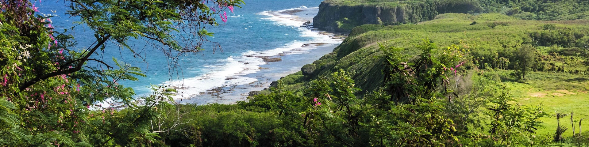 A coastal landscape with cliffs, greenery, and a view of the ocean.