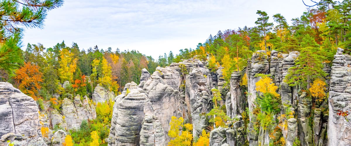 A forest with tall rock formations and autumn-colored trees.