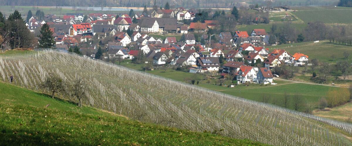 A village with red-roofed houses nestled in a valley, surrounded by rolling hills and vineyards.
