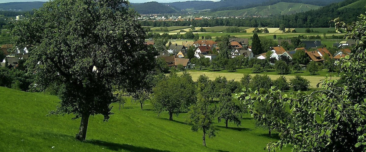 May Spring Glottertal - Mythos Black Forest Photography 2012