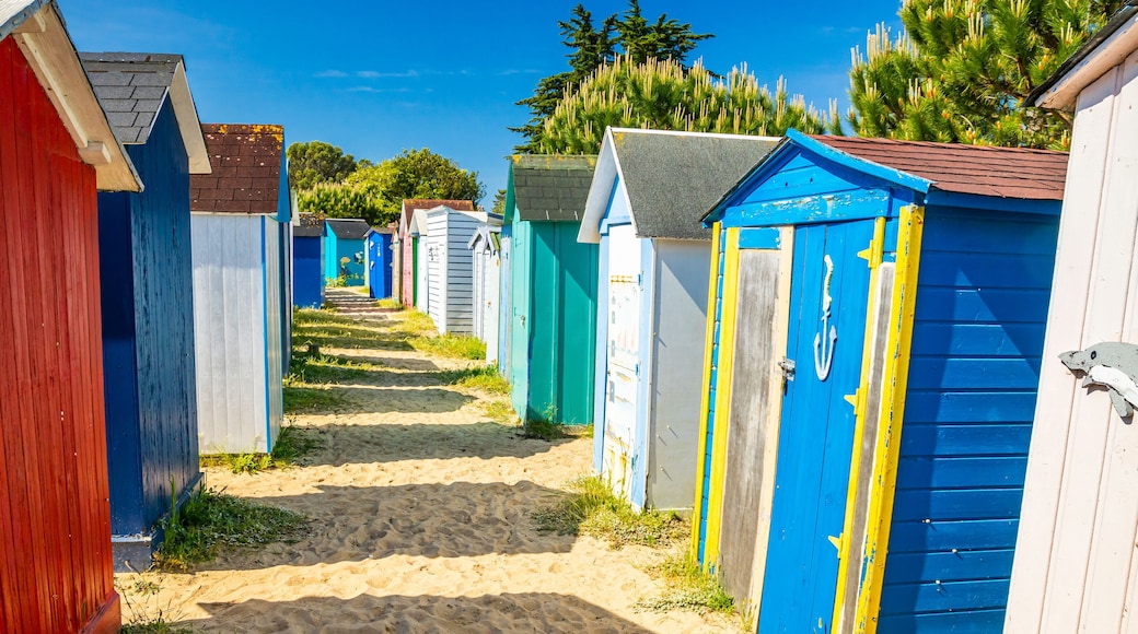 Saint-Denis-d'Oléron